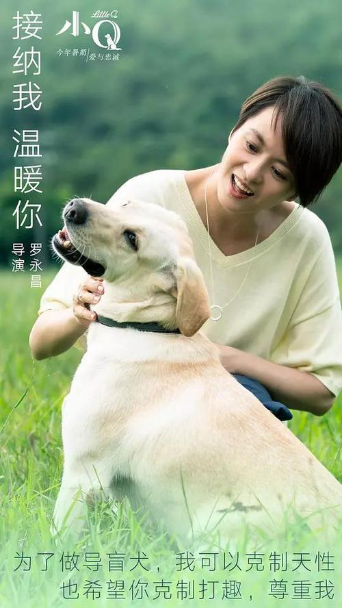 TechnischeUniversit?tClausthal文凭购买